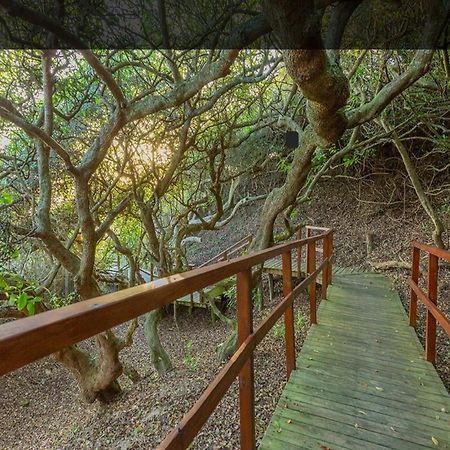 Moquini House Wilderness Hotel ภายนอก รูปภาพ