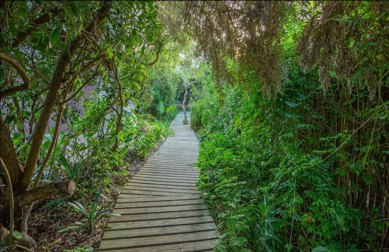 Moquini House Wilderness Hotel ภายนอก รูปภาพ
